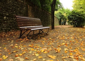 autunno, panchina, foglie, alberi, muro, parco, verde, giallo