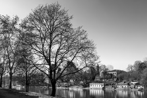 fiume, alberi, bianconero, case, acqua, rami, albero, riflessi