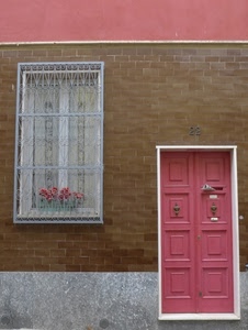 porta, finestra, rosa, fiori, inferriata, facciata, muro