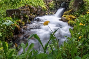 acqua, fiori, verde, erba, cascata, torrente, prato, piante