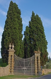 cancello, alberi, colonne, cipressi, pilastri, verde, strada, erba, cielo, muro