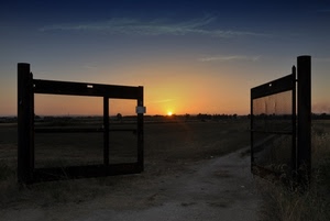 cancello, tramonto, sole, strada, aperto, cielo, controluce