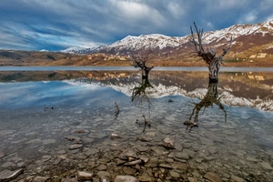 lago, alberi, montagna, neve, riflesso, acqua, riflessi, montagne