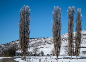 alberi, strada, neve, inverno, cielo, collina, montagna, colline, montagne, pioppi, bianco