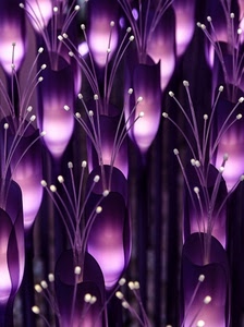 viola, fiori, expo, luci, petali, tulipani, astratto