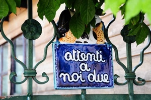 foglie, cancello, insegna, scritta, blu, cane, targa, cartello, verde, ferro