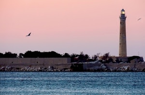 mare, faro, acqua, uccelli, scogli, tramonto, porto, azzurro, cielo