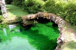 verde, ponte, acqua, fiume, piante, prato, natura, riflesso