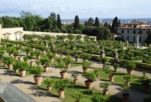 vasi, piante, giardino, alberi, verde, cielo, fontana, case
