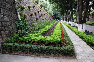 fiori, muro, aiuola, alberi, verde, viale, piante, strada, aiuole, siepe, prospettiva