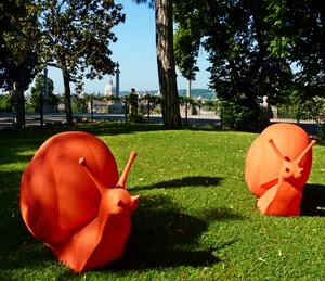 lumache, prato, arancione, alberi, verde, erba, chiocciole, due, parco, arancio