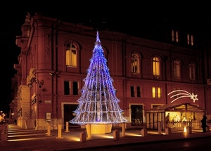 albero, natale, luci, finestre, palazzo, stella, notturno, notte, presepe
