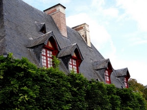 abbaini, tetto, finestre, comignoli, cielo, verde, tegole, alberi, tetti