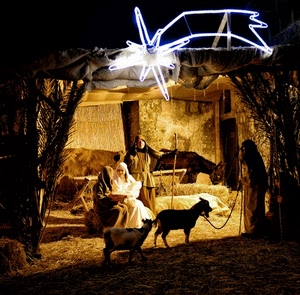 presepe, stella, cometa, capre, madonna, asino, paglia, giallo, natale, capanna, animali