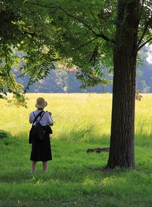 albero, cappello, donna, verde, fotografa, foglie, campo, giallo, erba, tronco, rami, campagna, prato, zaino, gonna, alberi