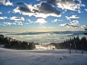 nuvole, neve, alberi, cielo, montagna, discesa, inverno, montagne, controluce