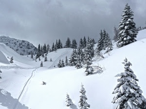 neve, alberi, montagna, inverno, pista, abeti, montagne, nuvole, cielo, bianco, freddo, bianconero