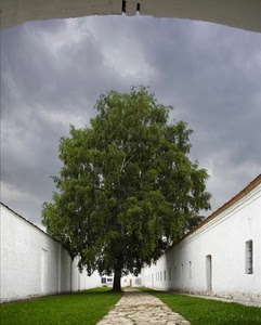 albero, nuvole, verde, cielo, finestre, prato, bianco, arco, strada, viale, case, erba, foglie