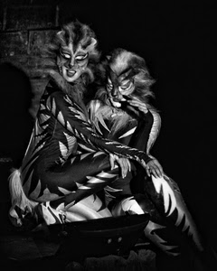 maschere, bianconero, carnevale, nero, costumi, coppia, due, coda, donne, gatti, costume, felini, travestimento, mani