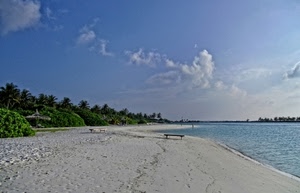 sabbia, mare, spiaggia, nuvole, alberi, acqua, palme, cielo