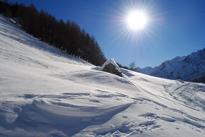 neve, alberi, sole, montagna, inverno, controluce, bianco, cielo, raggi