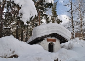 neve, alberi, tetto, inverno, cappella, bianco