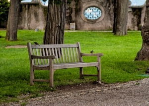 panchina, alberi, prato, erba, verde, legno, parco, tronchi