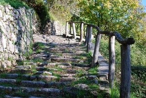 alberi, staccionata, muro, erba, legno, verde, scalinata, pietre, pali, scale, gradini, scalini, sentiero, salita, pietra, piante, foglie