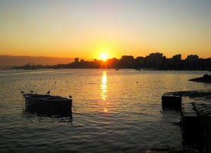 barca, mare, sole, acqua, tramonto, riflesso, controluce, uccelli, silhouette, cielo, gabbiani, arancione