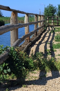 staccionata, legno, ombra, erba, acqua, fiume, verde, azzurro, alberi, piante, cielo, ombre, sassi