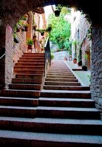 arco, gradini, scale, vasi, fiori, vicolo, verde, scalini, scalinata, ringhiera