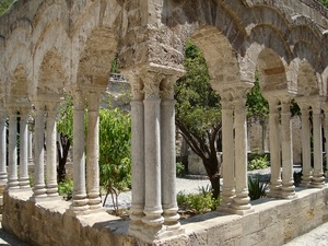 colonne, archi, piante, chiostro, alberi, verde, giardino, capitelli, portico, angolo, pietra, portici, muretto, mattoni, rami