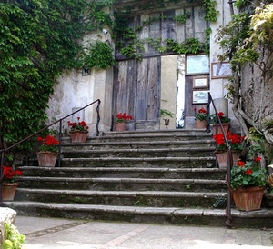 vasi, fiori, scale, scala, porta, gradini, edera, portone, scalinata, gerani, verde, ringhiera