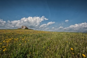 nuvole, campo, fiori, erba, prato, cielo, primavera, margherite, panorama, paesaggio